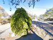 00 love (lot b) lane, prescott,  AZ 86305
