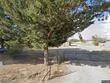 838 adams dr, chino valley,  AZ 86323
