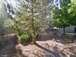 1905 timber pt w, prescott,  AZ 86303