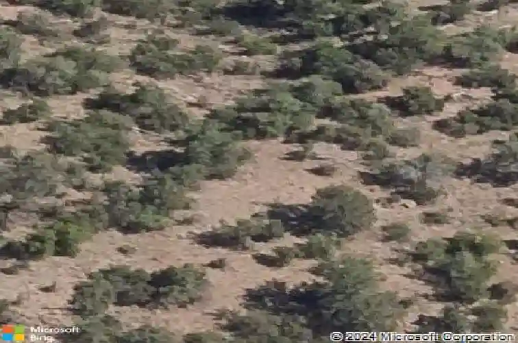 1462 sierry springs dr, prescott,  AZ 86305