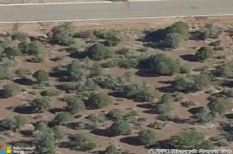 73 morning glow way, prescott,  AZ 86303