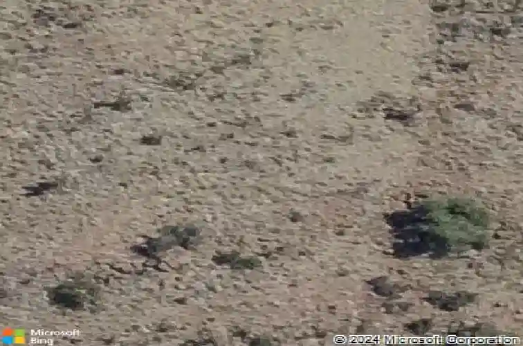 1136 sunrise blvd, prescott,  AZ 86301