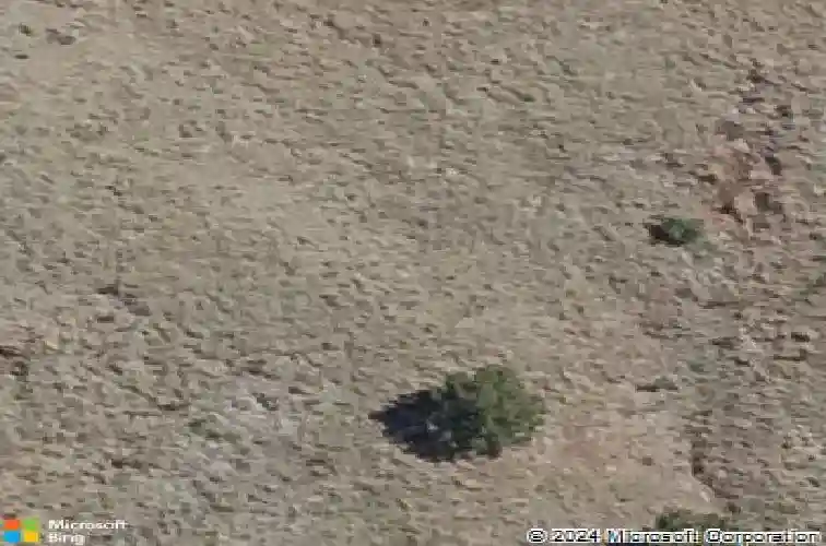 1137 sunrise blvd, prescott,  AZ 86301