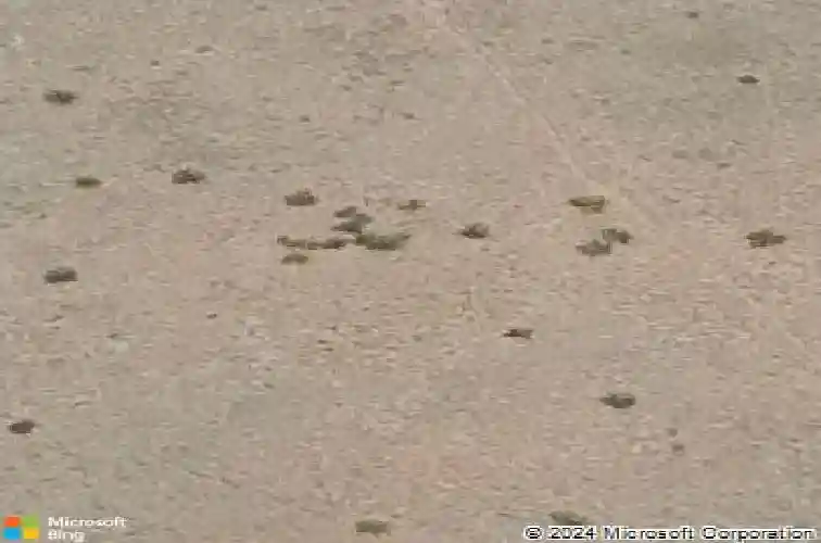 6135 e livingston loop, prescott valley,  AZ 86314