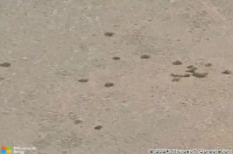 6127 e livingston loop, prescott valley,  AZ 86314