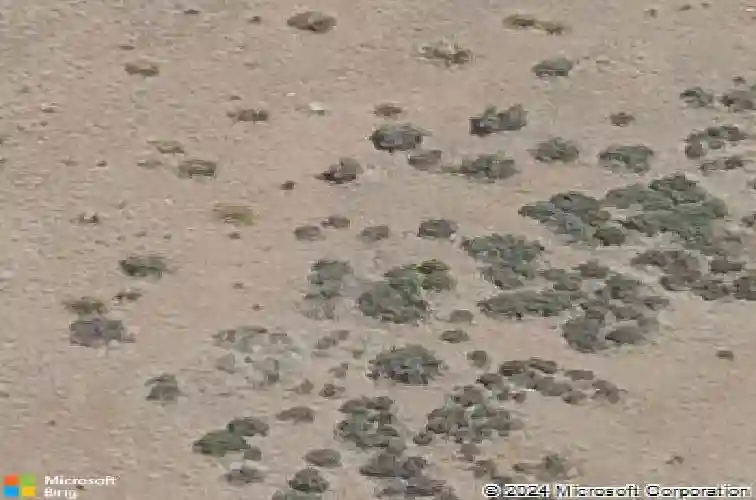 5391 crescent edge dr, prescott,  AZ 86301