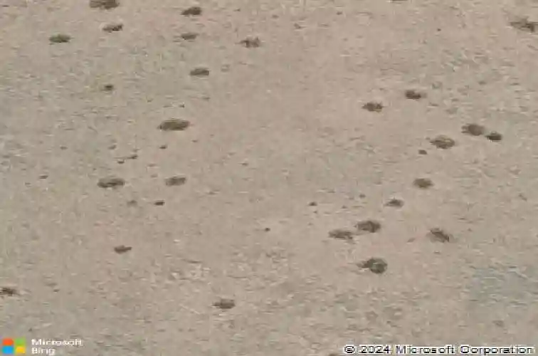 6147 e bower ln, prescott valley,  AZ 86314