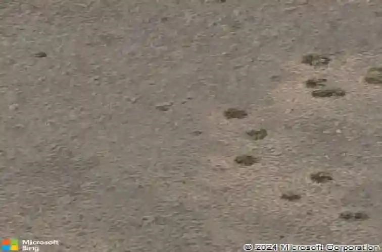 5278 n elliot ave, prescott valley,  AZ 86314