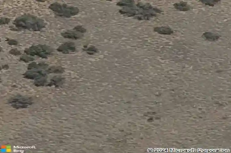 6823 golden tree dr, prescott,  AZ 86305