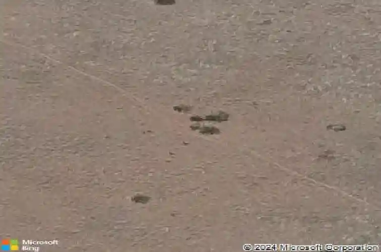 6322 e beckett trl, prescott valley,  AZ 86314