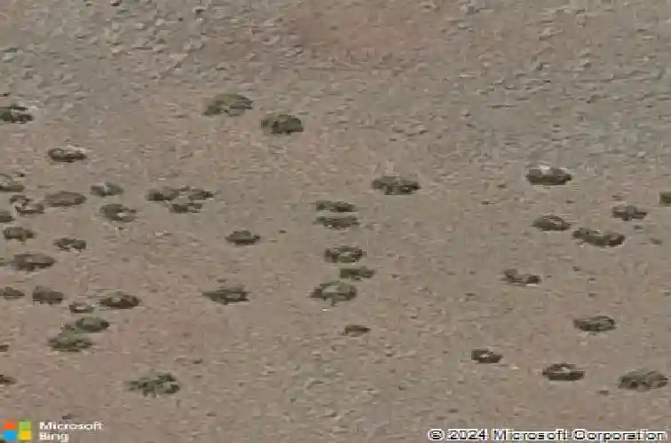 4890 n glasgow pl, prescott valley,  AZ 86314