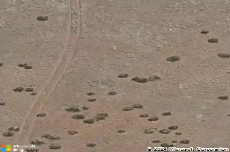 5692 e cannon pl, prescott valley,  AZ 86314