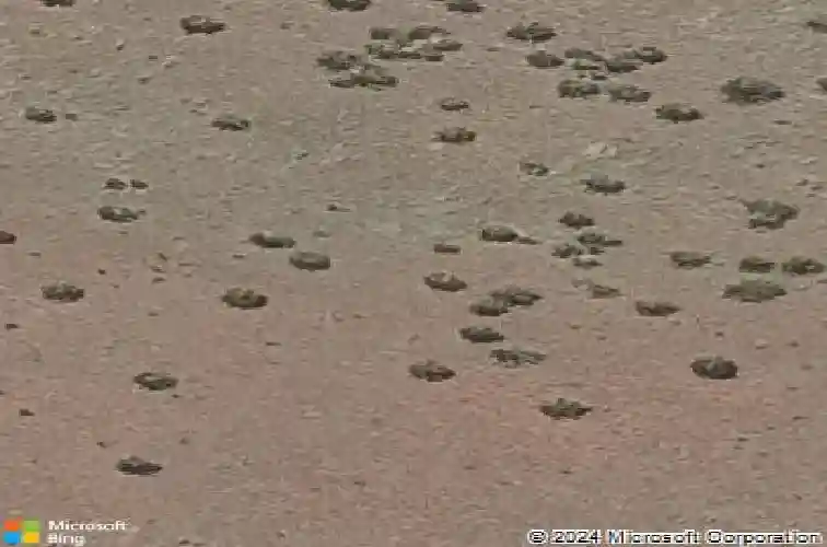 5745 e cannon pl, prescott valley,  AZ 86314