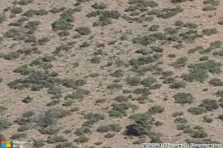 5642 meridian court
                                ,Unit 116, prescott,  AZ 86305