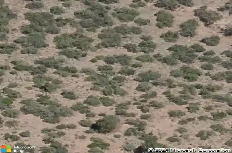 594 suncrest drive, prescott,  AZ 86305