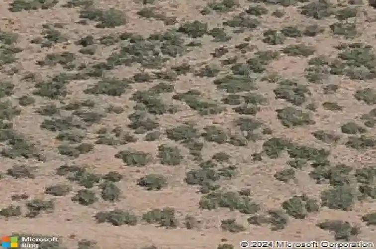 565 suncrest dr, prescott,  AZ 86305