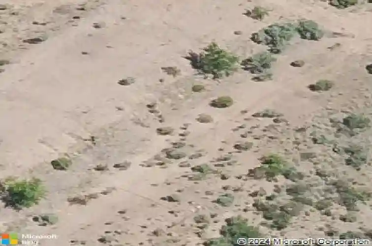 1181 sassaby circle, prescott,  AZ 86301