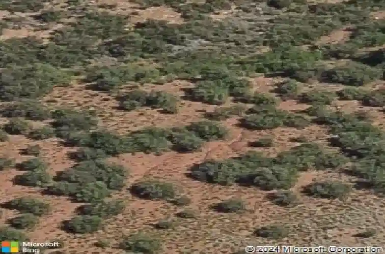 30 s roosters run, dewey,  AZ 86327