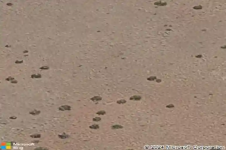 5078 e frost ln, prescott valley,  AZ 86314