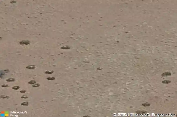 5054 e frost ln, prescott valley,  AZ 86314