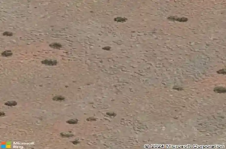 5049 e frost ln, prescott valley,  AZ 86314