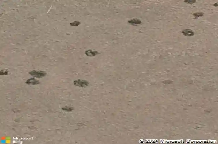 5030 e frost ln, prescott valley,  AZ 86314