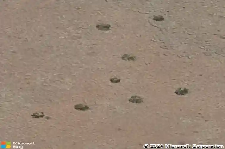 5025 e frost ln, prescott valley,  AZ 86314