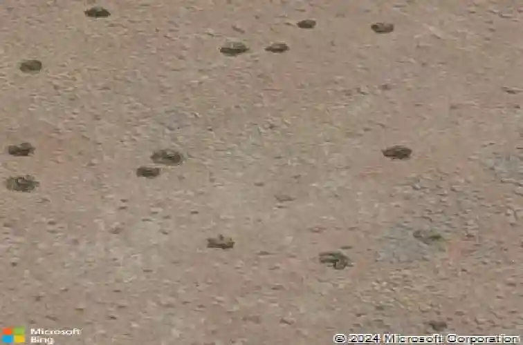 5301 e edgar way, prescott valley,  AZ 86314