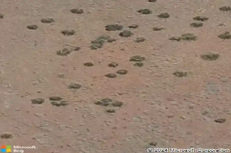 5318 e edgar way, prescott valley,  AZ 86314