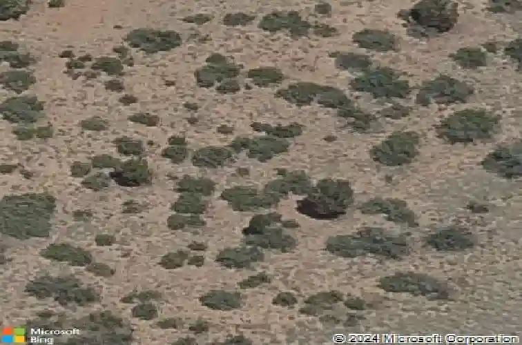 7034 wallflower way, prescott,  AZ 86305