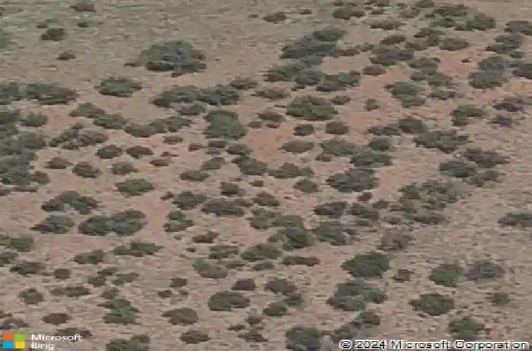 7009 stallion ln, prescott,  AZ 86305