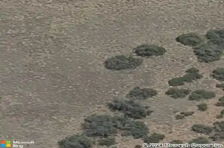 7004 sterling lane, prescott,  AZ 86305