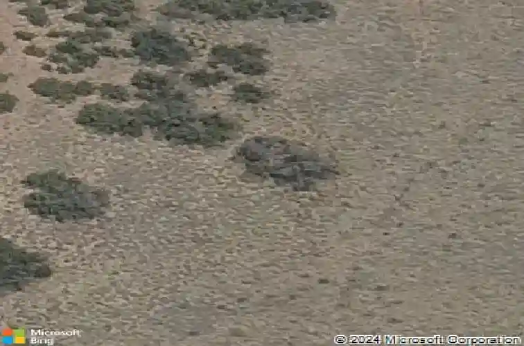 7041 wallflower way, prescott,  AZ 86305