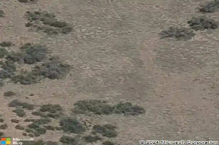 7049 wallflower way, prescott,  AZ 86305