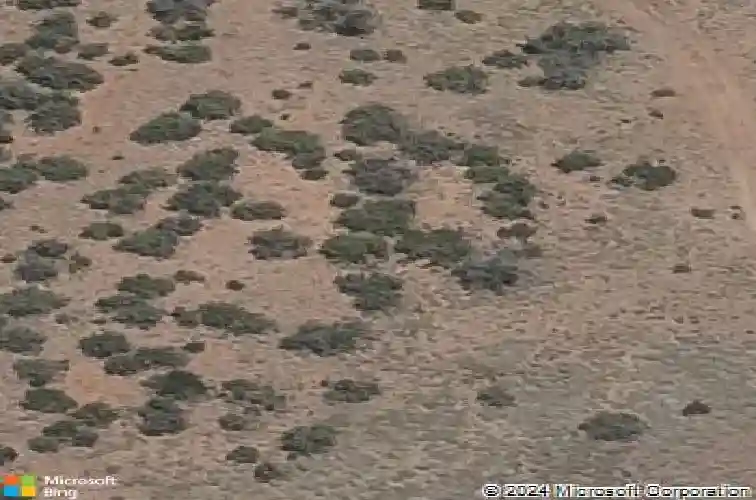 7019 sterling ln, prescott,  AZ 86305