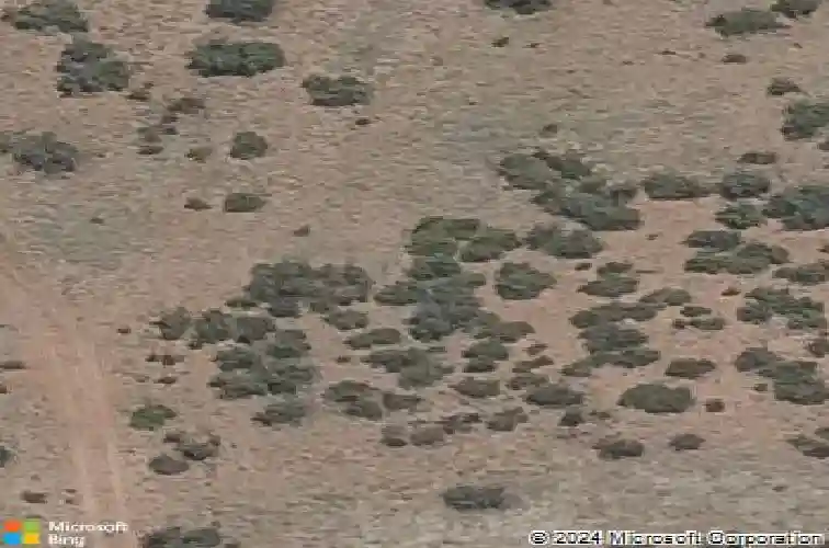 7008 stallion ln, prescott,  AZ 86305