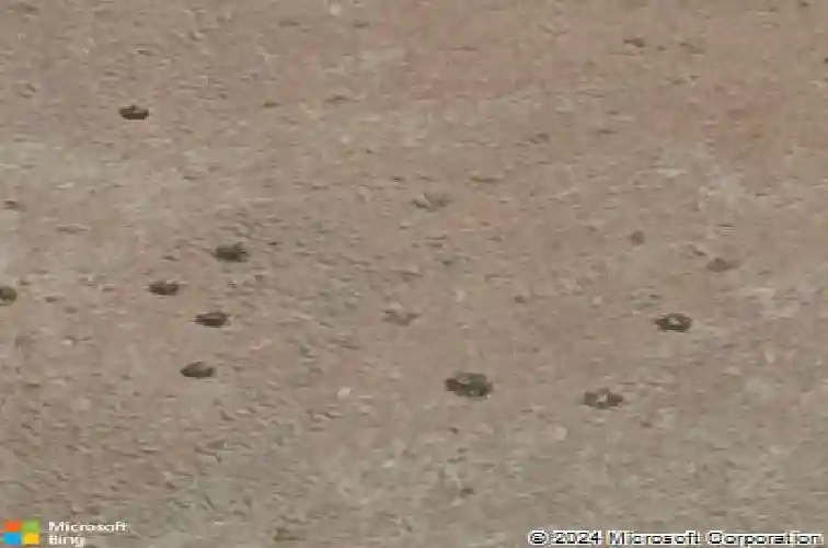 5504 e edgar way, prescott valley,  AZ 86314