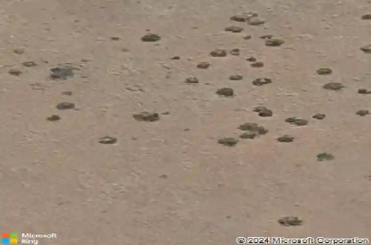 4991 n blake court, prescott valley,  AZ 86314