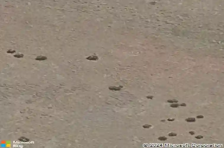 5072 n jeffers avenue, prescott valley,  AZ 86314