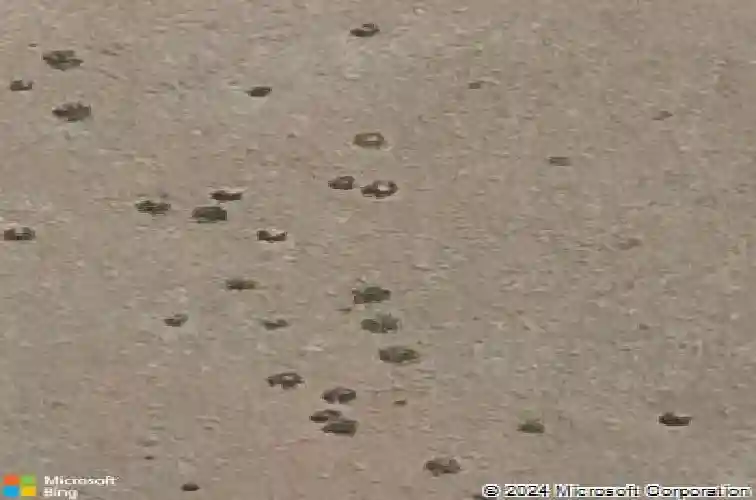 5075 n atwood court, prescott valley,  AZ 86314