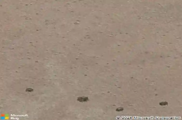 5992 e finch st, prescott valley,  AZ 86314