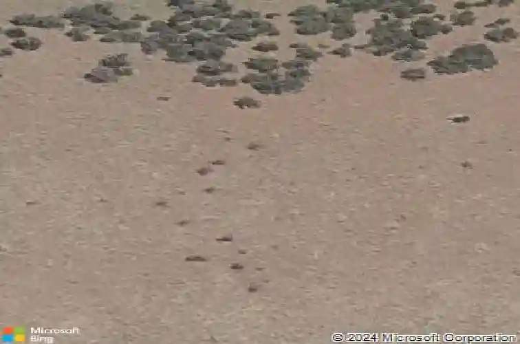 5902 e finch st, prescott valley,  AZ 86314