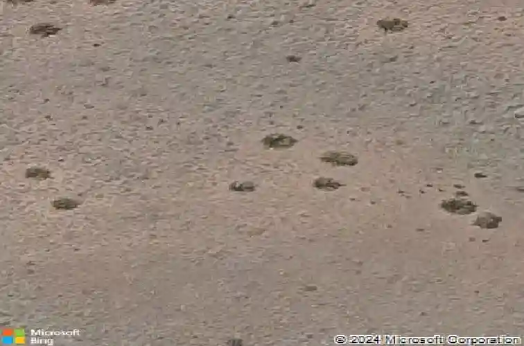 6090 e shetland way, prescott valley,  AZ 86314