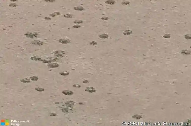 5215 dells rail trl, prescott,  AZ 86301