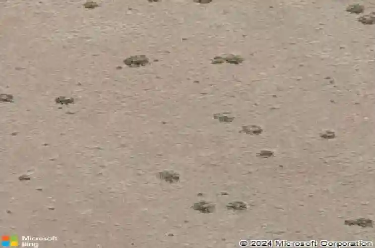 5211 dells rail trl, prescott,  AZ 86301