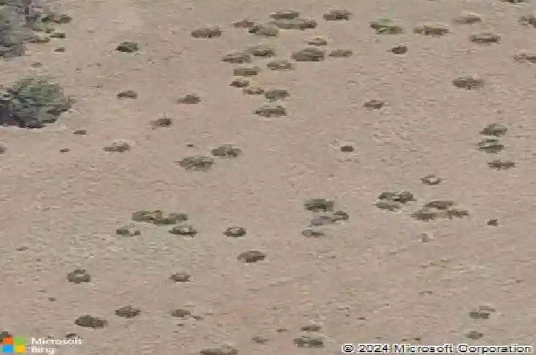 5247 iron vine trl, prescott,  AZ 86301