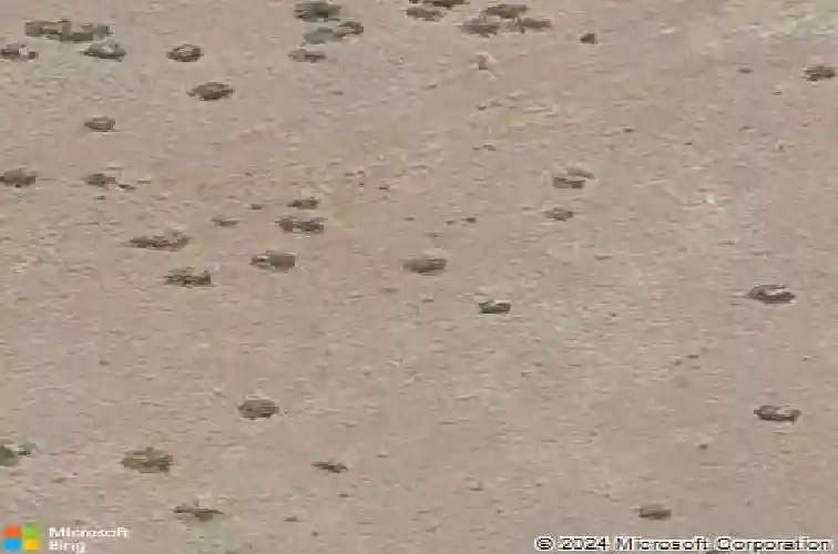 5230 dells rail trl, prescott,  AZ 86301