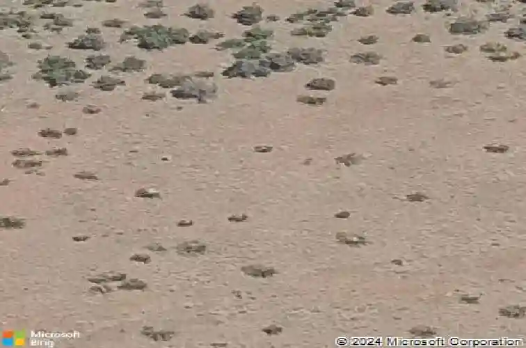 5223 iron vine trl, prescott,  AZ 86301