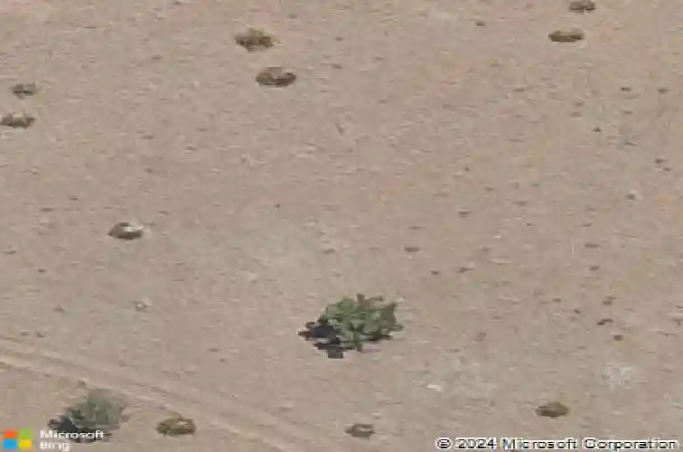 5229 meandering trl, prescott,  AZ 86301