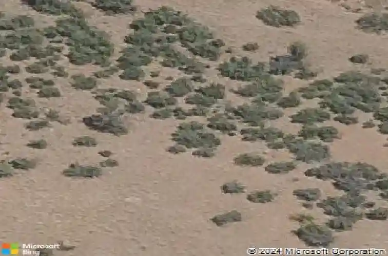 5214 meandering trl, prescott,  AZ 86301